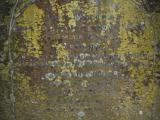 image of grave number 842420